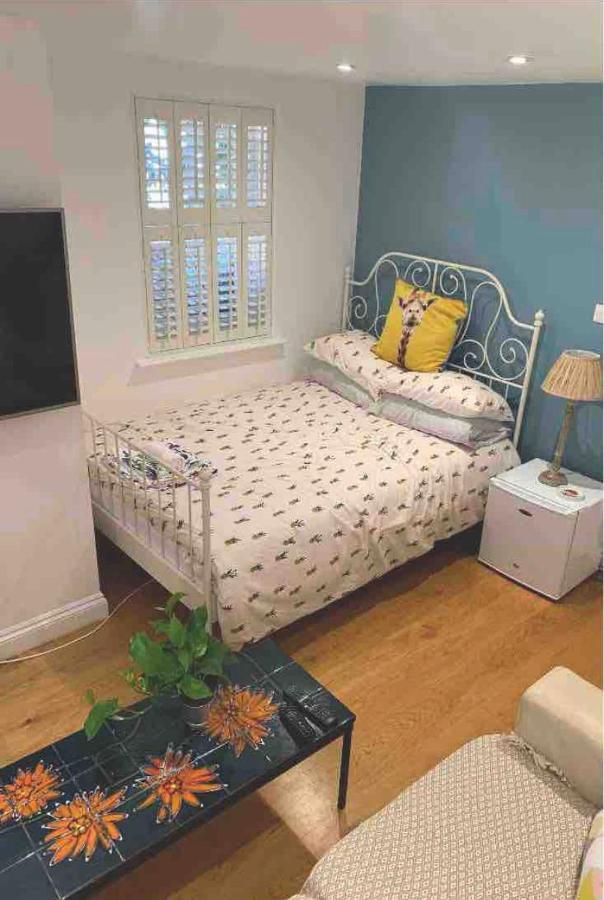 Stylish Modern Studio, Mock Georgian House, Heart Of Trendy Hackney & 伦敦 外观 照片